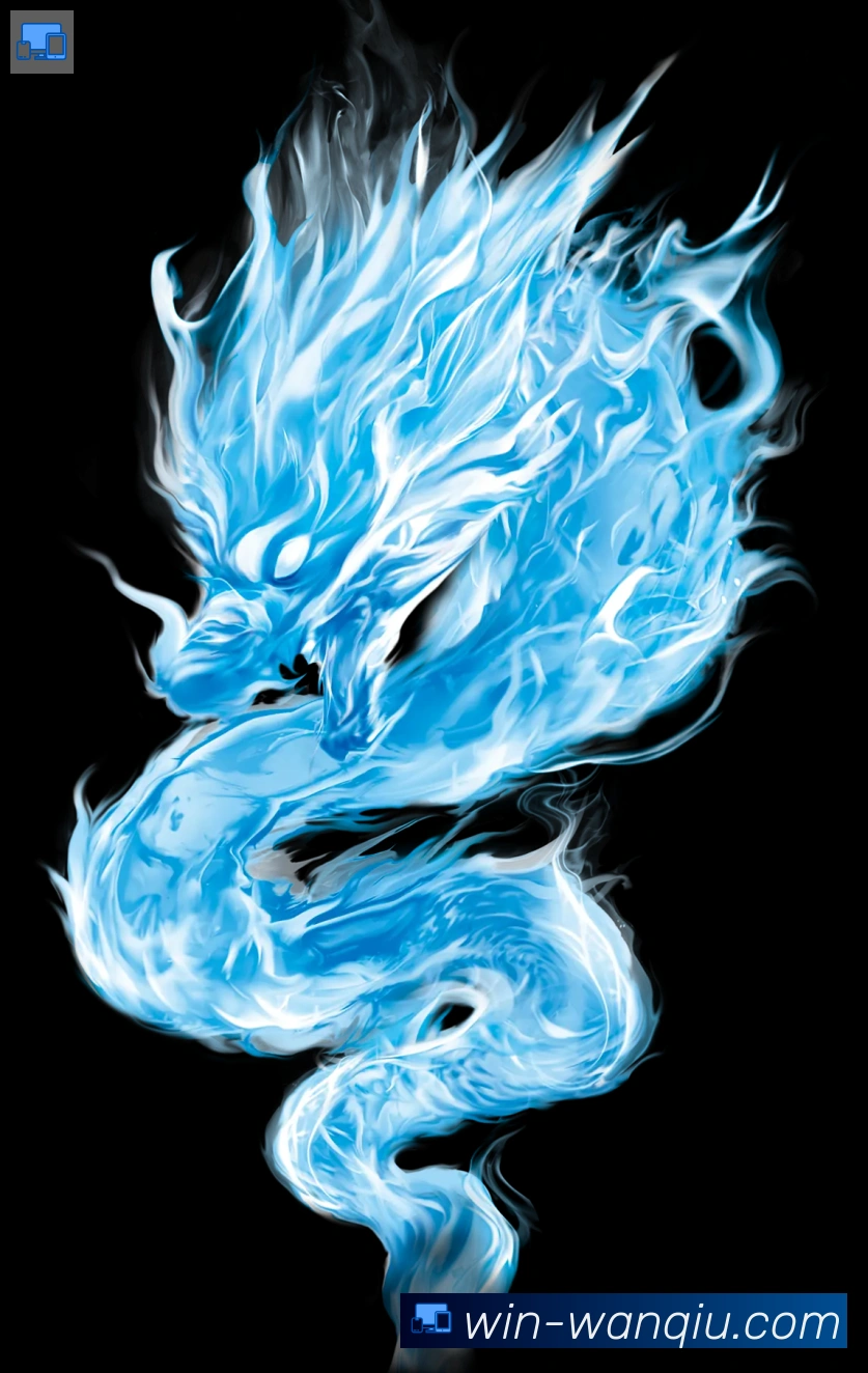 奖项证书